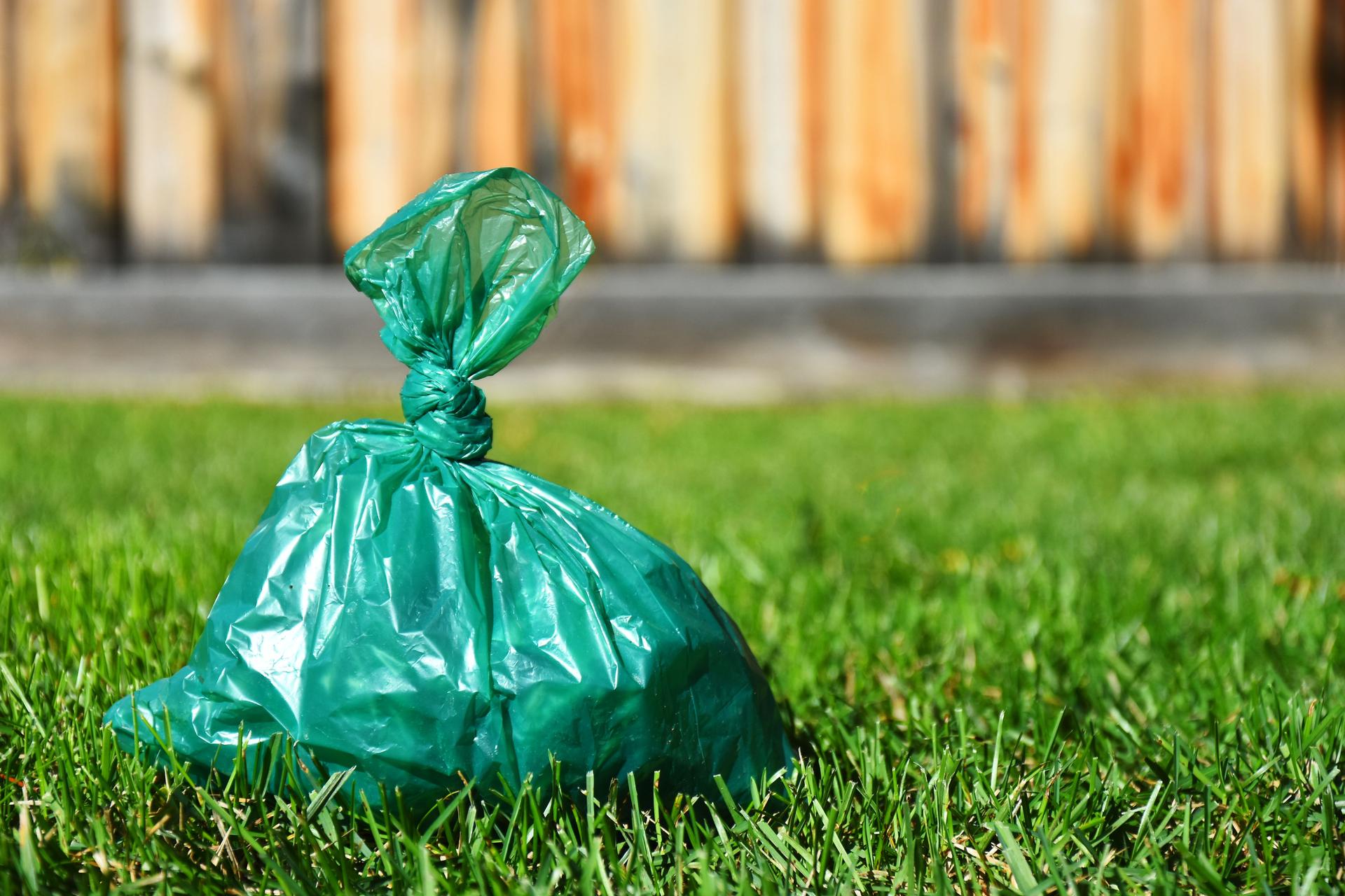 Used Dog Poop Bag